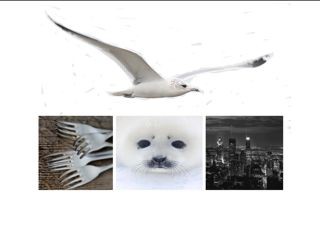 moodboard