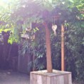 /album/fotogalerij-startpagina/img-1620-jpg/