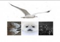 /album/fotogalerij-ontwerpvoorbeelden/moodboard-jpg/